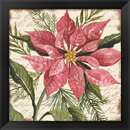 Framed Mauve Poinsettia Botanical Print