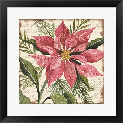 Framed Mauve Poinsettia Botanical Print