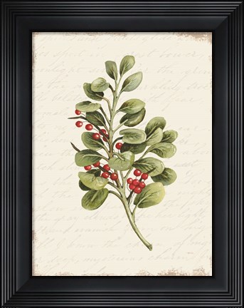 Framed Berries Christmas Botanical Print