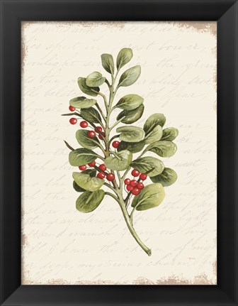 Framed Berries Christmas Botanical Print