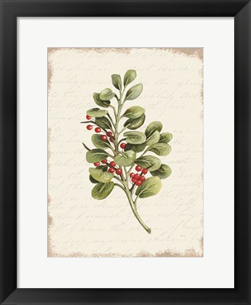 Framed Berries Christmas Botanical Print