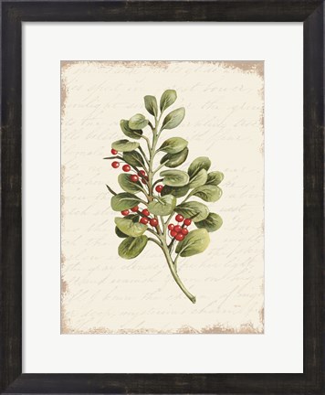 Framed Berries Christmas Botanical Print