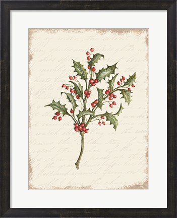 Framed Holly Christmas Botanical Print