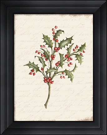 Framed Holly Christmas Botanical Print