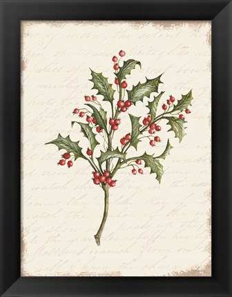 Framed Holly Christmas Botanical Print