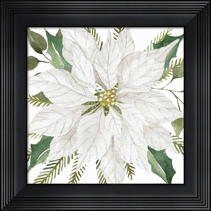 Framed White Poinsettia Print