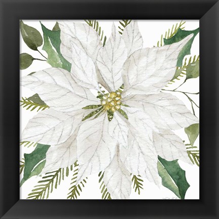 Framed White Poinsettia Print