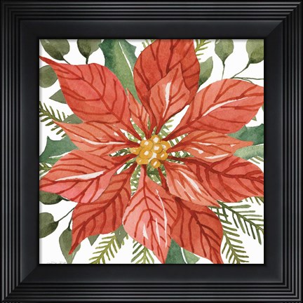Framed Red Poinsettia Print