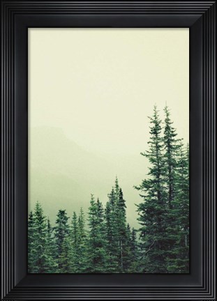 Framed Rocky Mountain 6 Print