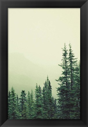 Framed Rocky Mountain 6 Print