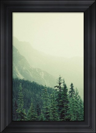 Framed Rocky Mountain 7 Print
