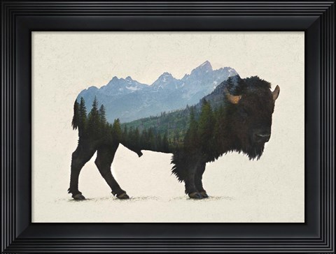 Framed Grand Teton Bison Print