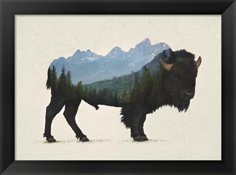 Framed Grand Teton Bison Print