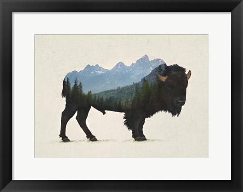 Framed Grand Teton Bison Print