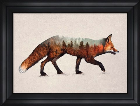 Framed Red Fox Print