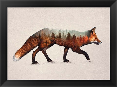 Framed Red Fox Print