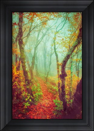 Framed Fairytale Fall Pathway Print