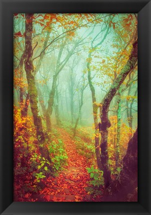 Framed Fairytale Fall Pathway Print