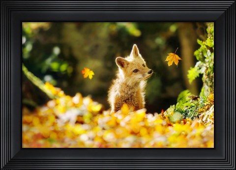 Framed Falling Leaves Fox Print