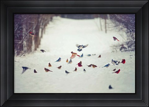 Framed Feathered Friends Birds in Snow Print
