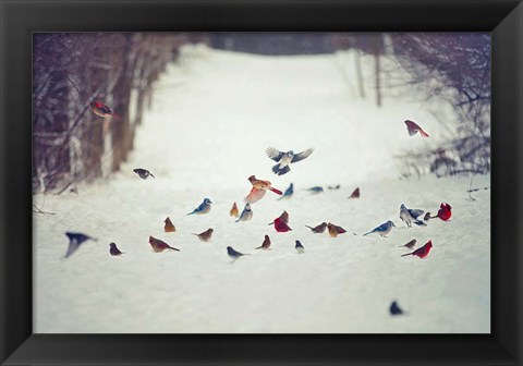 Framed Feathered Friends Birds in Snow Print