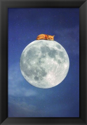 Framed Fox Sleeping on Moon Print