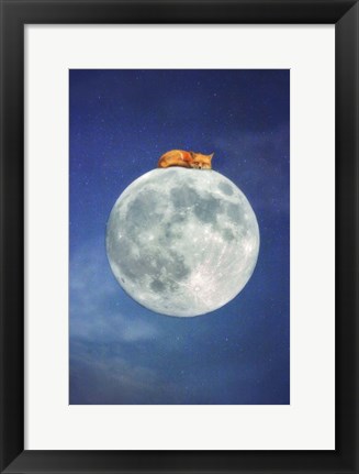 Framed Fox Sleeping on Moon Print