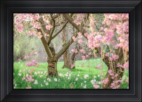 Framed Springtime Fairytale Cherry Tree Print