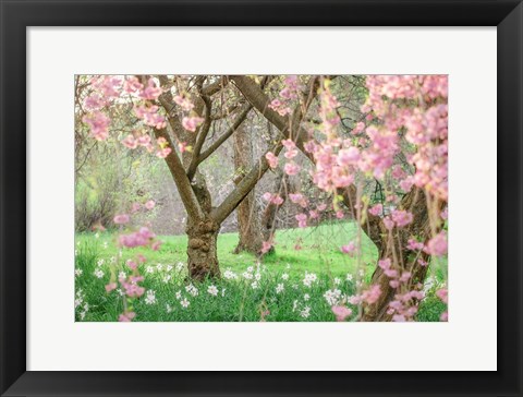 Framed Springtime Fairytale Cherry Tree Print