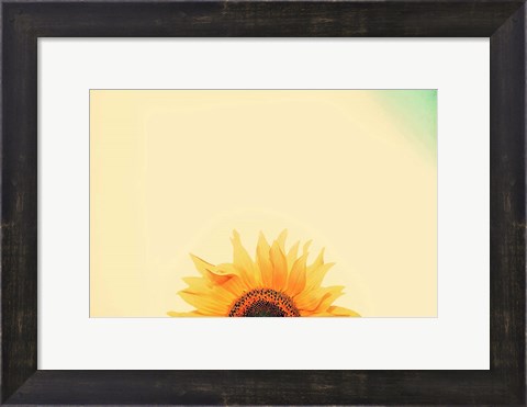 Framed Sunflower Sunrise Print