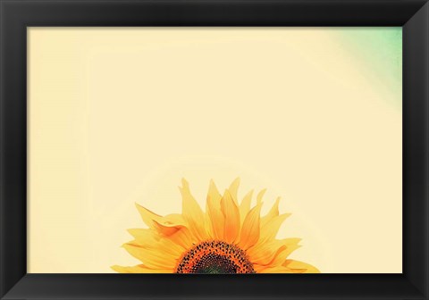 Framed Sunflower Sunrise Print