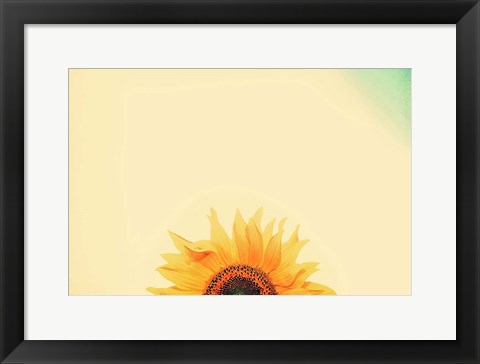 Framed Sunflower Sunrise Print