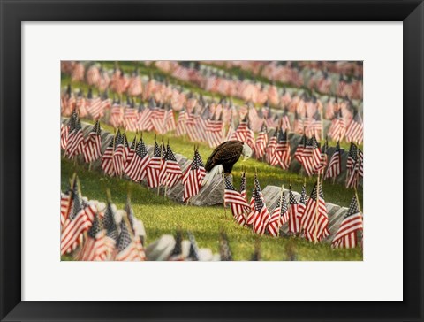 Framed Final Salute - Blad Eagle Print