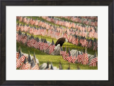 Framed Final Salute - Blad Eagle Print
