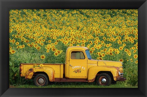 Framed Yellow Vintage Sunflower Truck Print