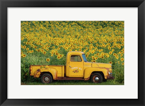 Framed Yellow Vintage Sunflower Truck Print