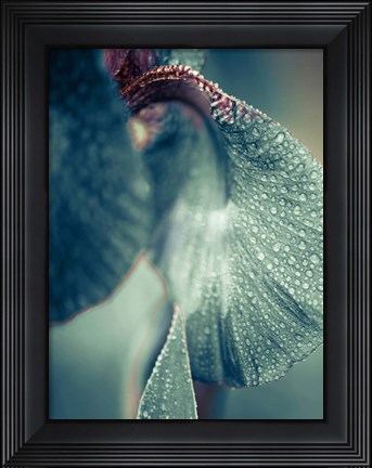 Framed Morning Dew Print