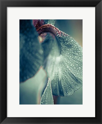 Framed Morning Dew Print