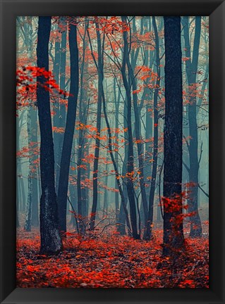 Framed Autumn Forest In The Mist Print