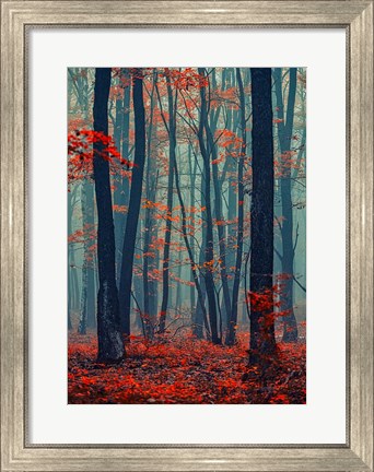 Framed Autumn Forest In The Mist Print