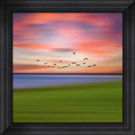 Framed Birds In The Sunset Print