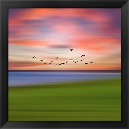 Framed Birds In The Sunset Print