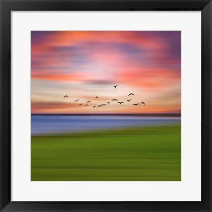 Framed Birds In The Sunset Print