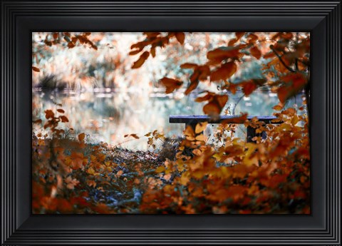Framed Lonely Place Print