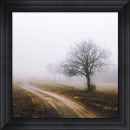 Framed Lonely Tree In The Mist Print