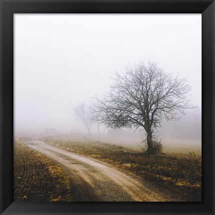 Framed Lonely Tree In The Mist Print