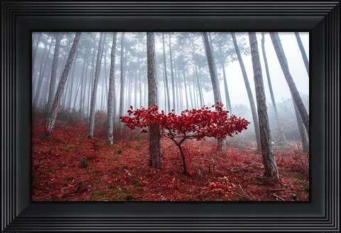 Framed Misty Autumn Print