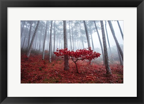 Framed Misty Autumn Print