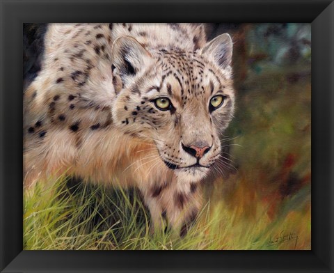 Framed Snow Leopard 4 Print