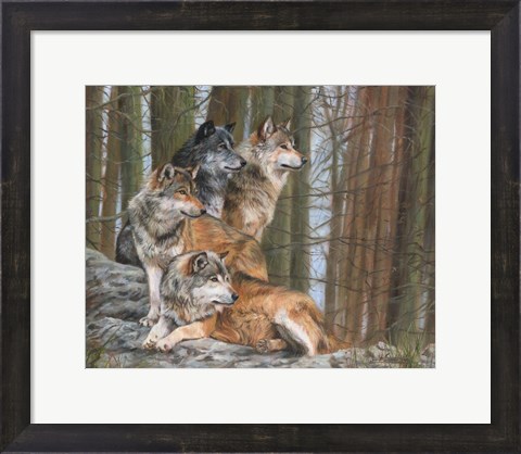 Framed Four Wolves Print